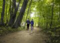 The Underrated Power of Walking: A Simple Step Towards Better Health
