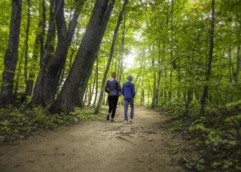 The Underrated Power of Walking: A Simple Step Towards Better Health