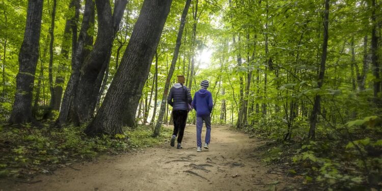 The Underrated Power of Walking: A Simple Step Towards Better Health