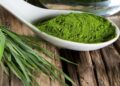 Spirulina: The Superfood for Energy, Immunity, and Overall Wellness