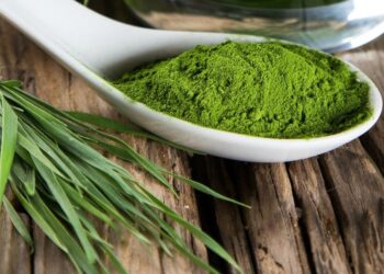 Spirulina: The Superfood for Energy, Immunity, and Overall Wellness