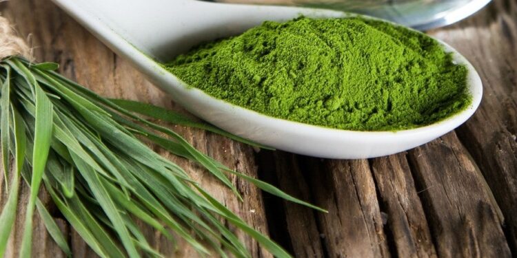 Spirulina: The Superfood for Energy, Immunity, and Overall Wellness