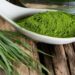 Spirulina: The Superfood for Energy, Immunity, and Overall Wellness
